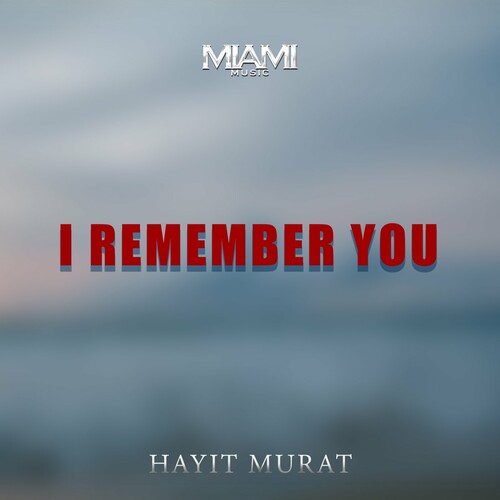 I Remember You