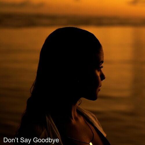 Don't Say Goodbye