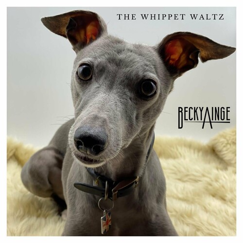 The Whippet Waltz